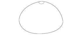 8j0-512-133 Audi Genuine Cap