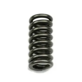 Coa-22043 Coan Reverse Servo Spring - Manual Steel Natural Each
