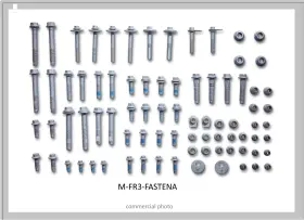 Ford 756122004258 M-fr3-fastena - 2015-2019 Mustang Handling Pack Fastener Kit