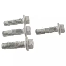 W500435-s439 Ford Genuine Damper Screw W500435-s439 Ford Genuine Damper Screw