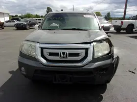 515-50194l Honda Driver Left Front Spindle/knuckle Fits 09-15 Pilot 25875605