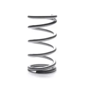 Landrum Springs J300-e Spring Conv Rear 5in Od X 13in Elite 300lbs