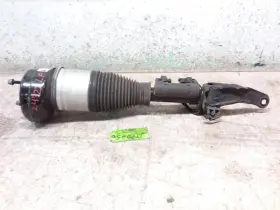 1673203213 Mercedes-benz 2020 Gle580 Driver Side Front Air Spring Strut Oem Id
