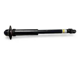 552406ca0a Nissan 2019-2025 Altima Rear Left Or Right Shock Strut Absorber