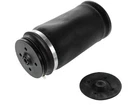 Rear Diy Solutions Air Spring Fits Mercedes ML320 2007-2009 21ZKJX New. Price: $87.31.
