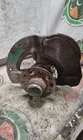 Passenger Front Spindle/knuckle 221 Type Awd Fits 07-13 Mercedes S-class 3276889 Used. Price: $175.49.