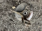 2015-2020 Acura Tlx Fwd Front Right Side Spindle Knuckle Hub W/ Control Arm Oem Used. Price: $100.00.