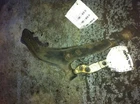 96-99 Infiniti I30 Driver Left Lower Control Arm Front Base Used. Price: $75.60.