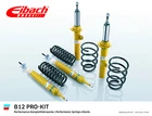 Eibach Bilstein Suspension B12 Pro Kit For Vw Golf Iv (1J1) E90-85-001-02-22 Neu. Price: $1163.40.