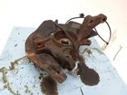2011 - 2013 Hyundai Sonata Gls Front Passenger Spindle Knuckle Used. Price: $90.00.