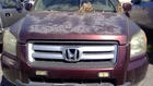 Passenger Right Front Spindle/knuckle Fits 05-08 Pilot 1180180 Used. Price: $77.15.