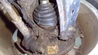 Driver Front Spindle/knuckle Without Caliper Carrier Fits 99-05 Beetle 1671153 Used. Price: $78.40.
