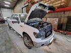 Passenger Right Front Knee Fits 10-13 Ford F150 Pickup 1522828 Used. Price: $299.95.