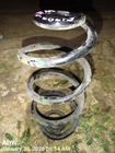 Right Rear Coil/air Spring Oem 15-18 Porsche Macan 1YR Wrnty 95B511115504 Used. Price: $125.00.
