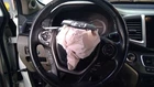 Steering Column Floor Shift Market Fwd Ex Fits 16-18 Pilot 2317051 Used. Price: $215.00.