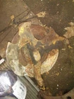 Driver Left Front Spindle/knuckle Fits 70-76 Camaro 346542 Used. Price: $89.95.
