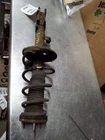 Passenger Strut Rear North America Built 4 Cylinder Fits 00-01 Camry 193912 Used. Price: $40.25.