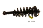 Suspension And Coil Spring Assembly-strut-plus Fits 03-06 Ford Expedition New. Price: $312.99.