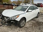 Passenger Front Knee Built Turbo Market Fits 16-19 Sonata 867906 Used. Price: $470.15.