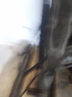 Steering Column Floor Shift Without Fog Lamps Thru 1/12 Fits 09-12 Rogue Used. Price: $124.02.