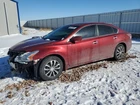 2013-15 Nissan Altima Passenger Lower Control Arm Sedan Main Ball Joint Suspensi Used. Price: $106.20.