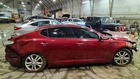 Passenger Right Lower Control Arm Front Fits 12-14 Azera 7013089 Used. Price: $112.00.