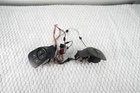 14-17 Fiat 500L Steering Cruise Control & Hands Free Switch Button Oem Used. Price: $50.00.
