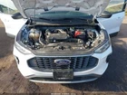 Ford Escape 2023-2024 Left Front Strut Awd Standard Suspension 1718835 Used. Price: $206.25.
