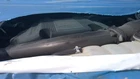 Driver Left Upper Control Arm Front Fits 18-21 Expedition 26425632 Used. Price: $115.62.