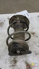 2020 Nissan Sentra Front Shock Strut Right Used. Price: $155.00.