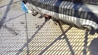 Passenger Rear Suspension Without Crossmember Awd Fits 20-25 Escape 5397886 Used. Price: $462.50.