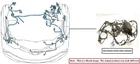 Engine Room Harness Oem 2017 Chevrolet SILVRDO25 Used. Price: $200.00.